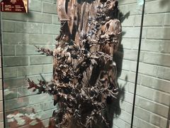 -乐山乌木文化博览苑