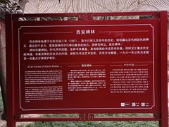 -西安碑林博物馆