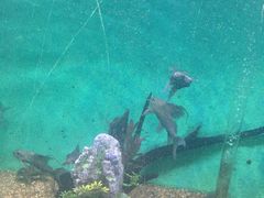 -常州海昌海洋探索馆