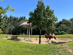 -北京野生动物园