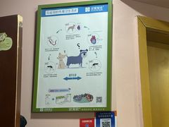 -车接车送·寄养洗护·德文猫舍(大宁店)