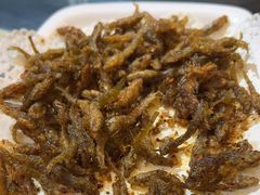 -野菌皇海景野生菌火锅(滨海大道店)