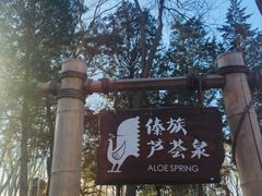 -南宫温泉水世界