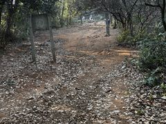 -杭州半山国家森林公园