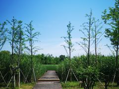 -梁鸿国家湿地公园