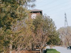 -永定河休闲森林公园