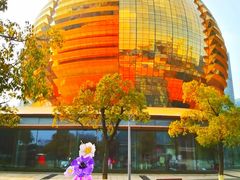 -杭州国际会议中心洲际酒店-原素全日餐厅(解放东路店)