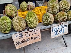 -荷兰红屋