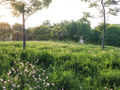 -尚贤河湿地