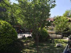 -静园(和平区)