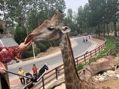 -大连森林动物园