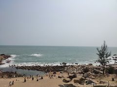 -广东惠东海龟国家级自然保护区
