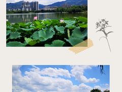 -飞来湖湿地公园