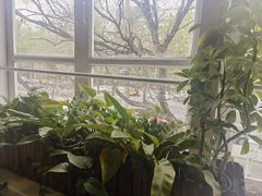 -雕刻时光咖啡馆(北师大店)