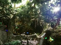 -多彩贵州城极地海洋世界