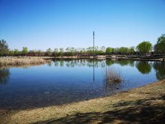 -永定河休闲森林公园