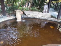 -杭州第一世界大酒店·云曼温泉