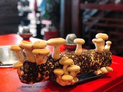 手剪香菇-谭鸭血老火锅(漳州路店)