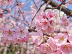-白塘生态植物园