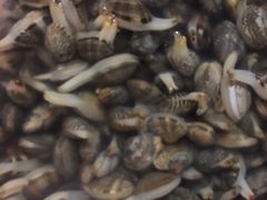 -宾朋海鲜特色美食餐厅·纯手工鲅鱼水饺(兴海路店)