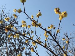 -白塘生态植物园