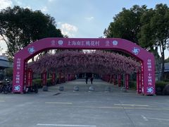 -南汇桃花村
