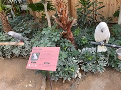 -南宫五洲植物乐园