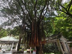 -广州市白云山风景名胜区
