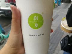 鲜芒椰汁牛乳-树夏(建设路店)