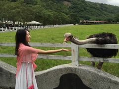-瑞穗牧场