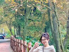 -广州市石门国家森林公园