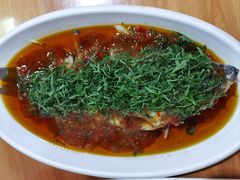 -老字号怡玺·藿香雅鱼(20年雅安店)