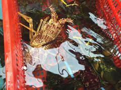 -盒马鲜生(宝地店)