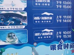 -秦皇岛乐岛海洋王国