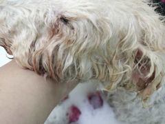 -乐琪宠物(青塔西路店)