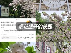 -阳澄湖半岛旅游度假区