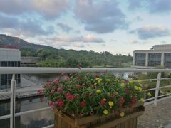 教学楼-厦门国家会计学院