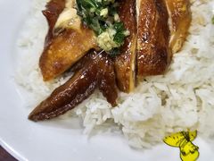 -陈光记烧腊店(罗保博士街店)
