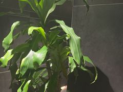 -天禧影院式足道·SPA(梅林店)