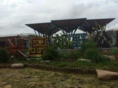 -上海长兴岛郊野公园