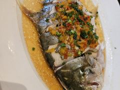 -湛江民大喜来登酒店-采悦轩中餐厅