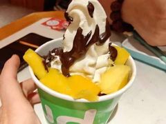 -Salud撒露欧洲冻酸奶(五道口购物中心店)