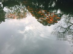 -西湖外事游船(花港观鱼码头)