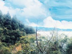 -千岛湖天屿景区