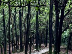 -火炉山森林公园