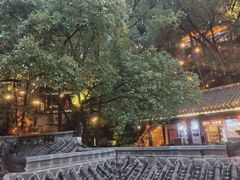 -巴倒烫陆派火锅山庄(南山总店)