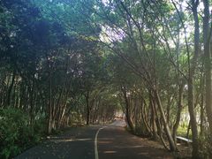 -艾溪湖湿地公园