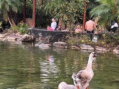 -水底山庄园温泉
