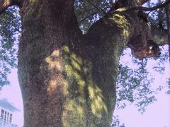 -新安江山水画廊风景区