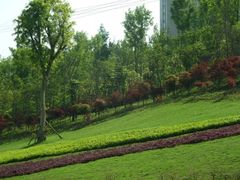 -龙头寺公园
